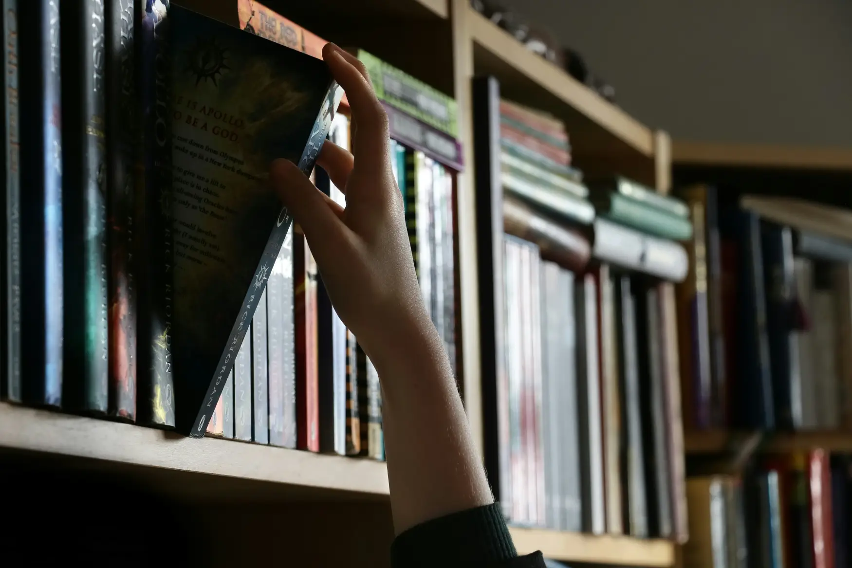 Headerbild: Lexikon